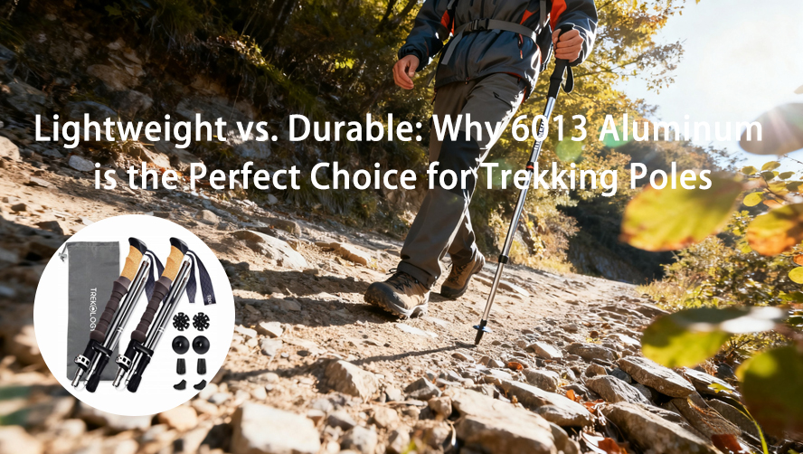 Z-Pole Folding hiking sticks